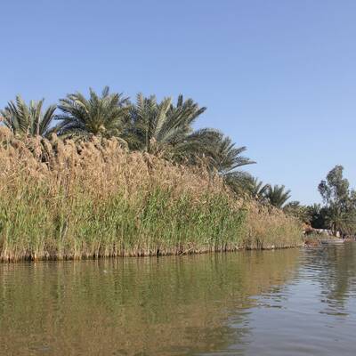 Laguna de Shadegan
